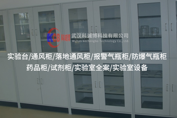 荊州實(shí)驗(yàn)室實(shí)驗(yàn)柜的設(shè)計(jì)如何滿足不同實(shí)驗(yàn)需求？